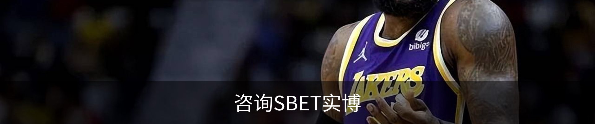 咨询SBET实博