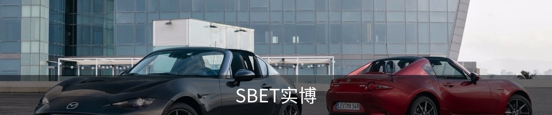 SBET实博